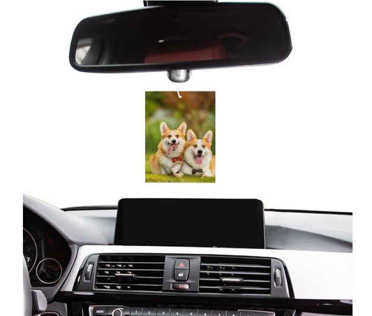 Customizable Freshener