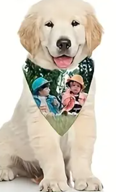 Customizable Pet Bandana